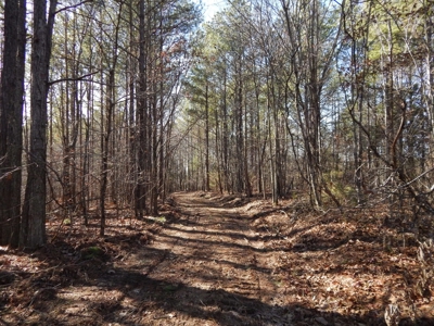 Tn. Recreational Paradise with Hunting and River Frontage! - image 11