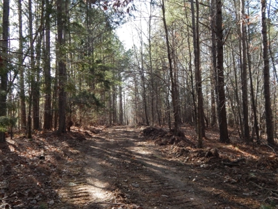 Tn. Recreational Paradise with Hunting and River Frontage! - image 13