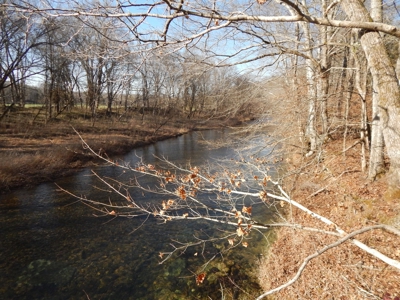 Tn. Recreational Paradise with Hunting and River Frontage! - image 1