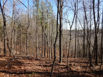 Tn. Recreational Paradise with Hunting and River Frontage! - image 15