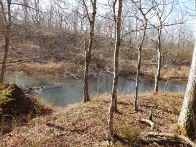 Tn. Recreational Paradise with Hunting and River Frontage! - image 2