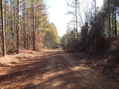 Tn. Recreational Paradise with Hunting and River Frontage! - image 12