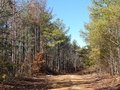 Tn. Recreational Paradise with Hunting and River Frontage! - image 4