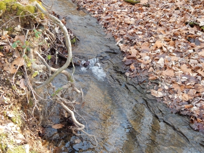 Tn. Recreational Paradise with Hunting and River Frontage! - image 25
