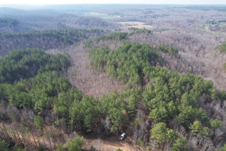 Tn. Recreational Paradise with Hunting and River Frontage! - image 40