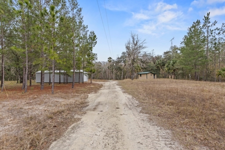 Suwannee River Waterfront Country Home For Sale - Florida - image 23