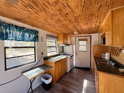 Suwannee River Waterfront Country Home For Sale - Florida - image 32
