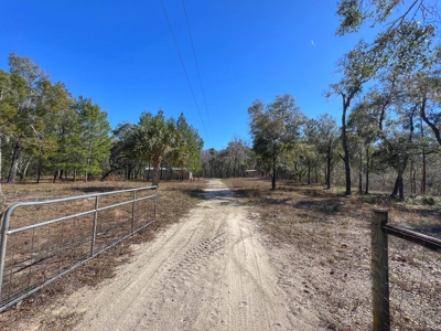 Suwannee River Waterfront Country Home For Sale - Florida - image 35