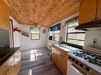 Suwannee River Waterfront Country Home For Sale - Florida - image 33
