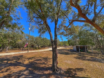 Suwannee River Waterfront Country Home For Sale - Florida - image 45