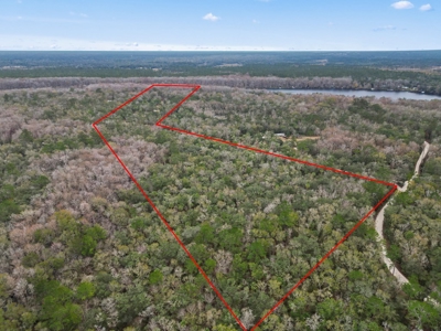 Suwannee River Waterfront Country Home For Sale - Florida - image 25