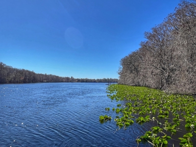 Suwannee River Waterfront Country Home For Sale - Florida - image 29
