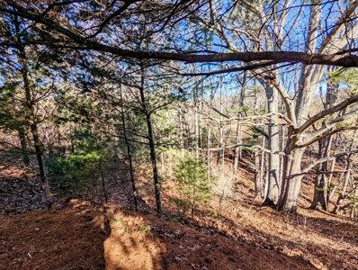 Desirable Building Lot for Sale in Riner VA - image 4