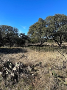 EXTREMELY AFFORDABLE Lot Located near The Hideout Golf Club! - image 3