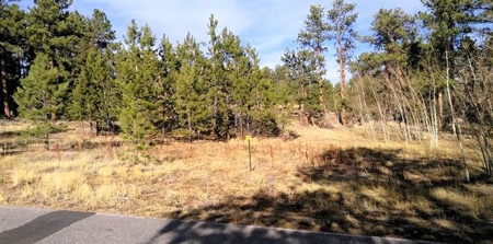 Fox Acres Country Club Lot - image 1