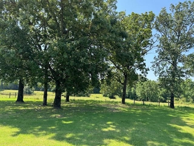 Country Home in Omaha Texas with Lake View - image 42