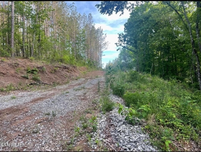 Residential Lot for Sale in McMinn County, TN - image 4