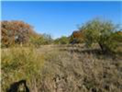 Lets Go play GOLF at Lake Brownwood - image 2