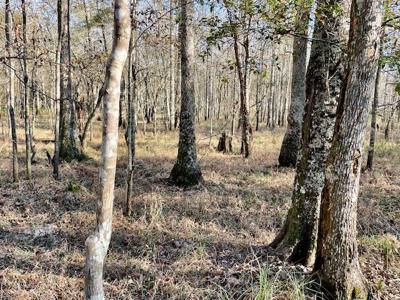 Cheap Hunting Land For Sale With Assumable Loan - image 37