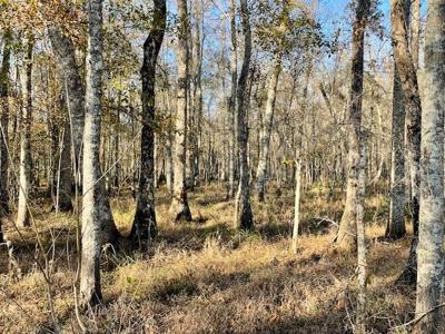 Cheap Hunting Land For Sale With Assumable Loan - image 35