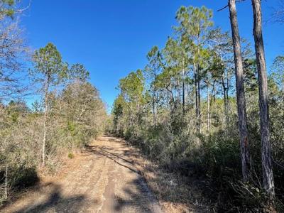 Cheap Hunting Land For Sale With Assumable Loan - image 16