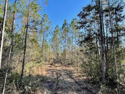 Cheap Hunting Land For Sale With Assumable Loan - image 31