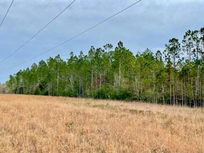 Cheap Hunting Land For Sale With Assumable Loan - image 2