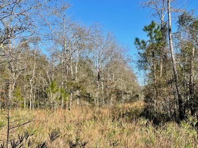 Cheap Hunting Land For Sale With Assumable Loan - image 23