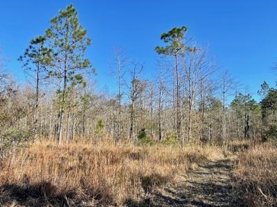 Cheap Hunting Land For Sale With Assumable Loan - image 22