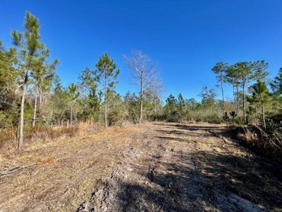 Cheap Hunting Land For Sale With Assumable Loan - image 21