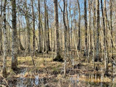 Cheap Hunting Land For Sale With Assumable Loan - image 36