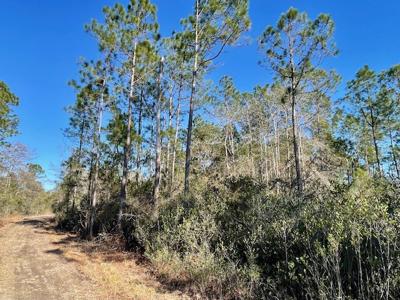 Cheap Hunting Land For Sale With Assumable Loan - image 15