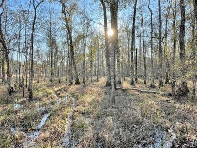 Cheap Hunting Land For Sale With Assumable Loan - image 38