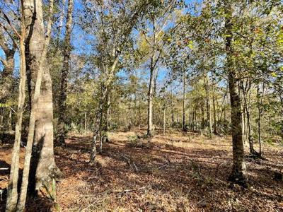 Cheap Hunting Land For Sale With Assumable Loan - image 25