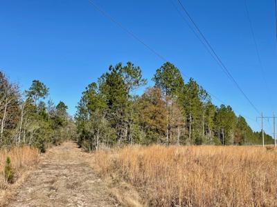 Cheap Hunting Land For Sale With Assumable Loan - image 13