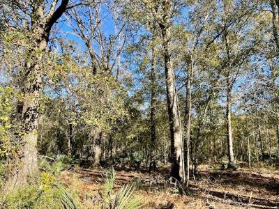 Cheap Hunting Land For Sale With Assumable Loan - image 24