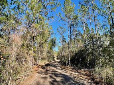 Cheap Hunting Land For Sale With Assumable Loan - image 17