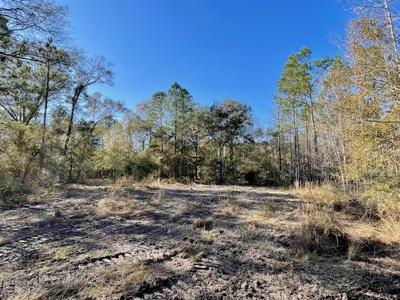 Cheap Hunting Land For Sale With Assumable Loan - image 28