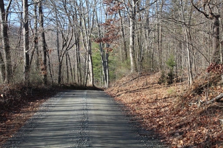 145 Acres of Bliss, Only 25 Miles from Charlottesville, VA - image 1