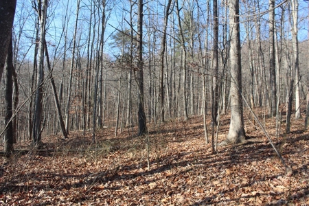 145 Acres of Bliss, Only 25 Miles from Charlottesville, VA - image 12