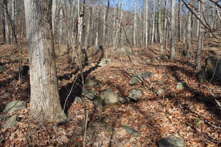 145 Acres of Bliss, Only 25 Miles from Charlottesville, VA - image 3