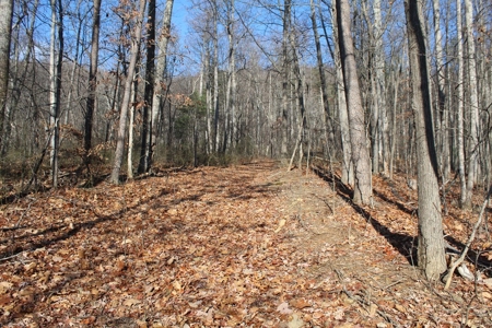 145 Acres of Bliss, Only 25 Miles from Charlottesville, VA - image 11
