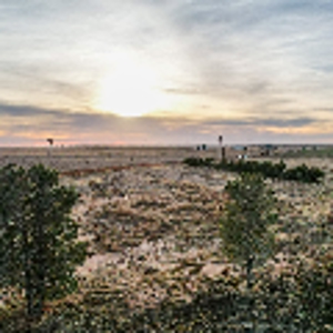 Tracts for sale near Shallowater. - image 14