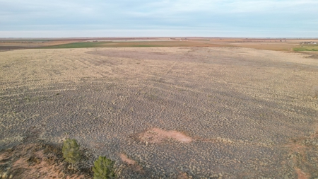 Tracts for sale near Shallowater. - image 10