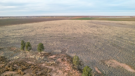 Tracts for sale near Shallowater. - image 11