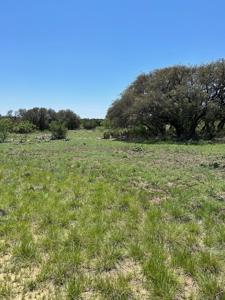 Turnkey 94-Acre Ranch Retreat in Sonora, TX - image 26