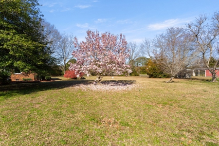 Versatile Living in Suffolk, VA - image 16