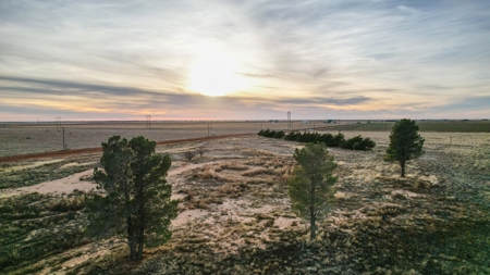 Tracts for sale near Shallowater Texas. - image 13
