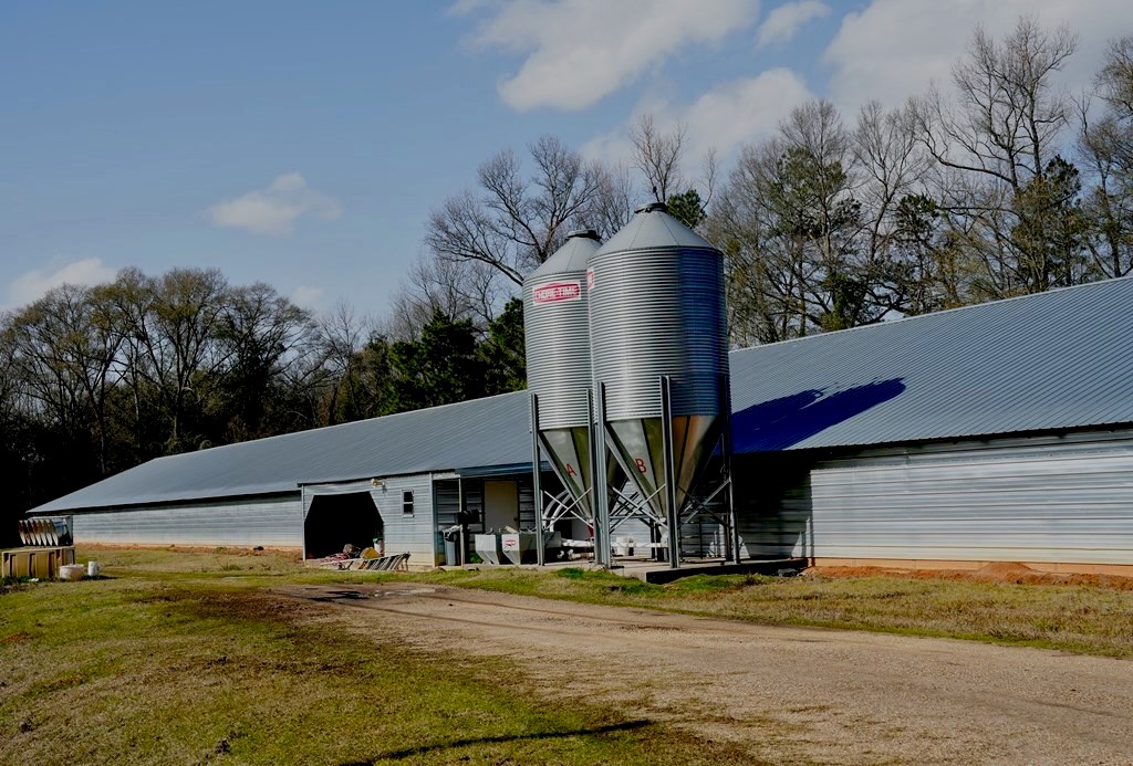 Poultry Broiler Farm 73 Acres Mize Mississippi