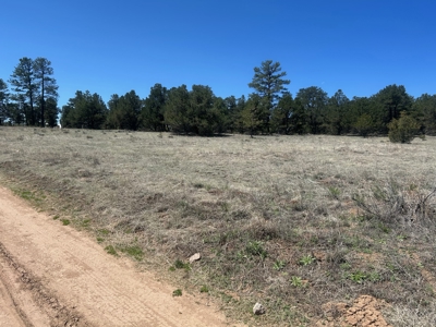 5.01 Acre Lot with Power & Phone for Sale in Cotopaxi CO - image 2
